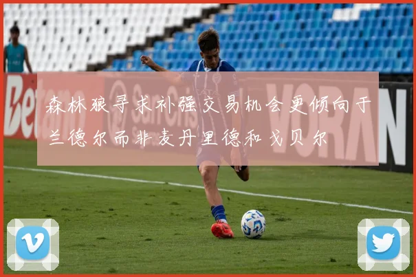 森林狼寻求补强交易机会更倾向于兰德尔而非麦丹里德和戈贝尔