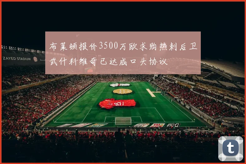 布莱顿报价3500万欧求购热刺后卫武什科维奇已达成口头协议
