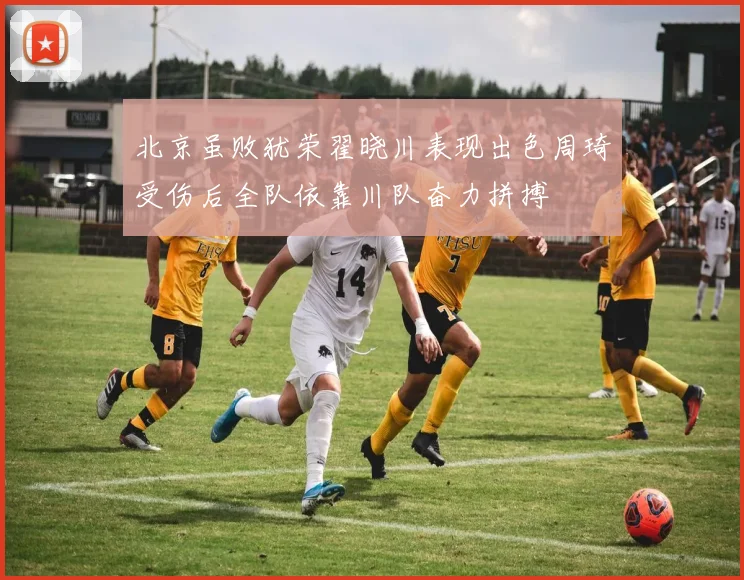 北京虽败犹荣翟晓川表现出色周琦受伤后全队依靠川队奋力拼搏