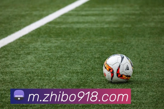 智博体育平台平台生态图